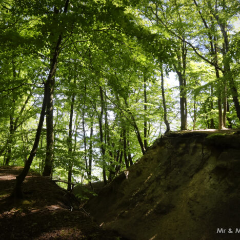 Spacer po „Żurawich Błotach” – gdzie kończy się turystyka, a zaczyna natura