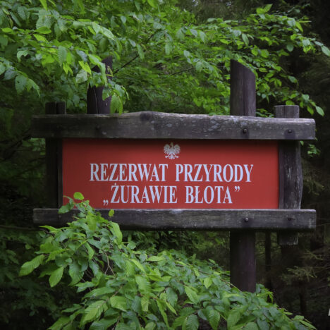 Szlak Kępy Redłowskiej cz.1