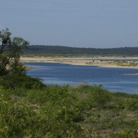 Kraina gdzie owce chodzą własnymi ścieżkami